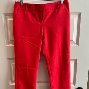 Express Columnist Pant